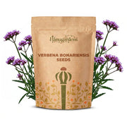 Verbena Bonariensis Seeds – Verbena bonariensis