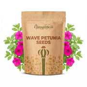 Wave Petunia Seeds – Petunia × hybrida
