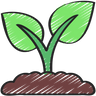 Clear Seed info